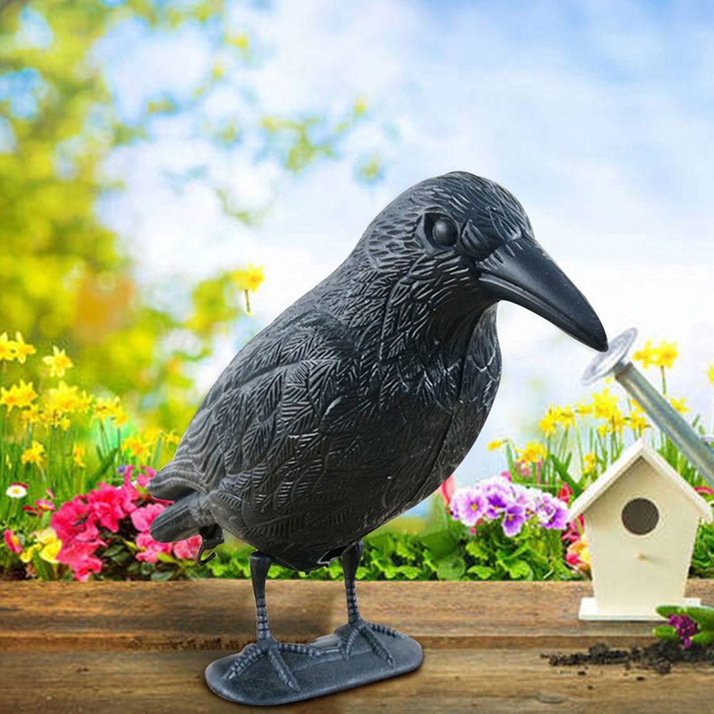 กลางแจ้งสีดําขนาด Crow Repelle - Hunting Outdoor Decor บทวิจารณ์และราคา